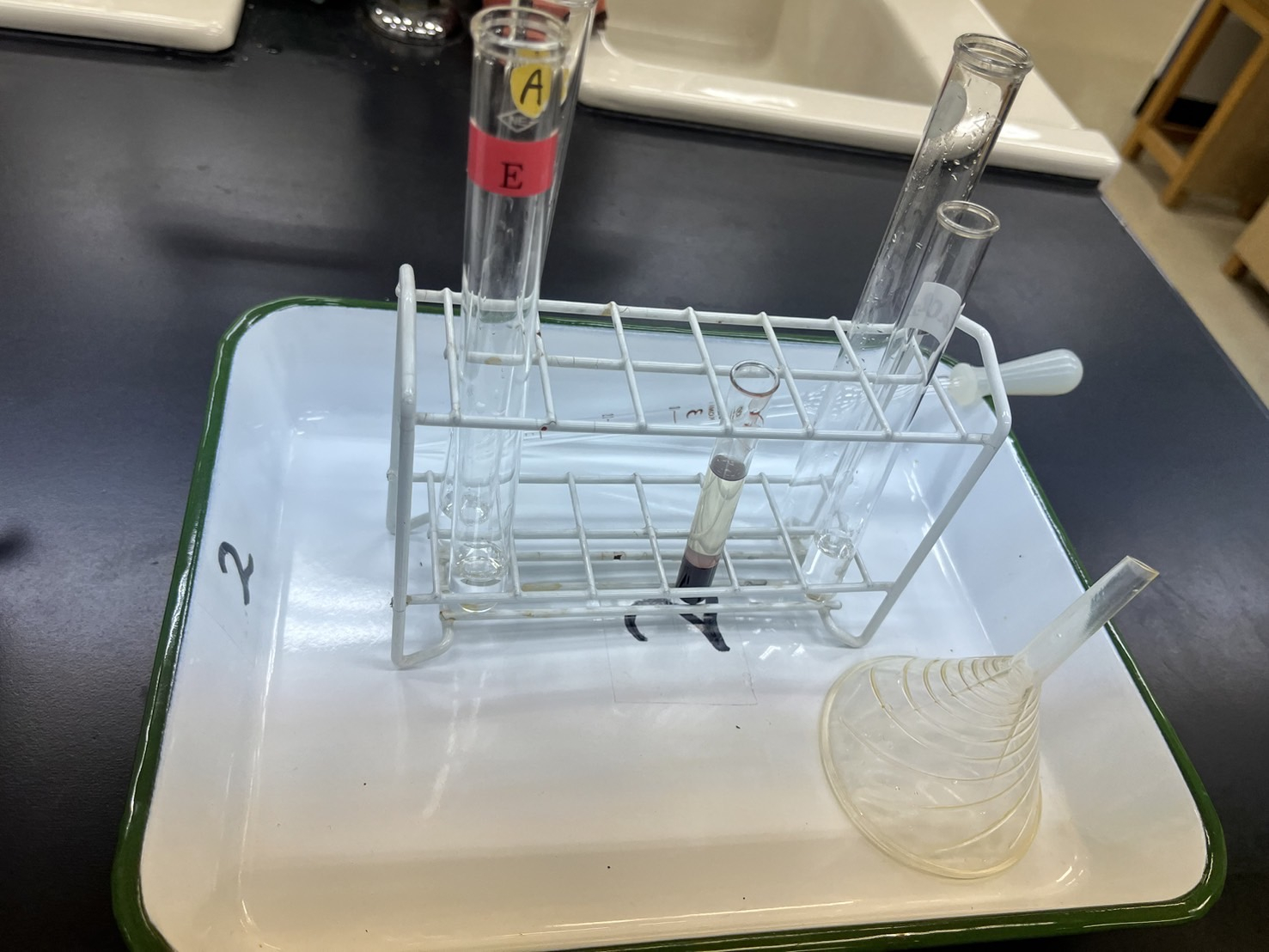 R6_生物基礎 (1).JPG